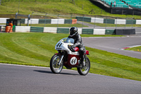 Vintage-motorcycle-club;eventdigitalimages;mallory-park;mallory-park-trackday-photographs;no-limits-trackdays;peter-wileman-photography;trackday-digital-images;trackday-photos;vmcc-festival-1000-bikes-photographs